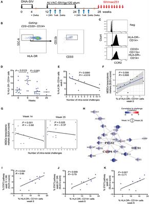 Myeloid Cell Crosstalk Regulates the Efficacy of the DNA/ALVAC/gp120 HIV Vaccine Candidate